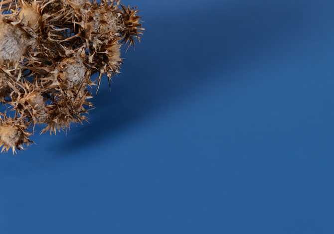 DEKORATİF DESEN KOLEKSİYONU