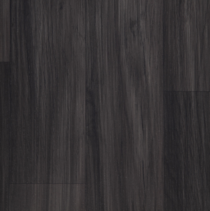 Mundi 2022 Versiyonu