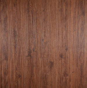 Tradition, Tradition Fiyatları, Tradition modelleri hakkında daha fazla bilgi almak için detayını görüntüleyin.